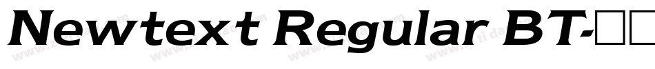 Newtext Regular BT字体转换